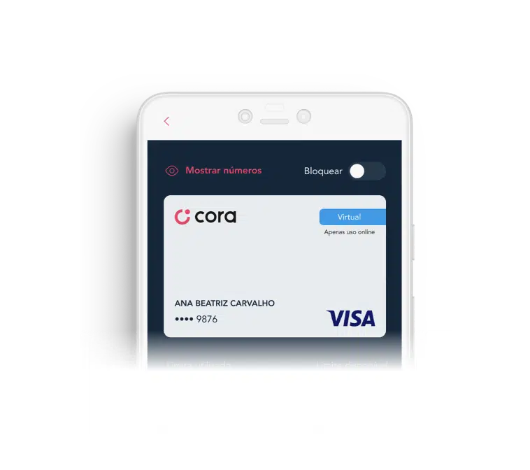 New Home 7 Carteira com diferentes cartões de crédito