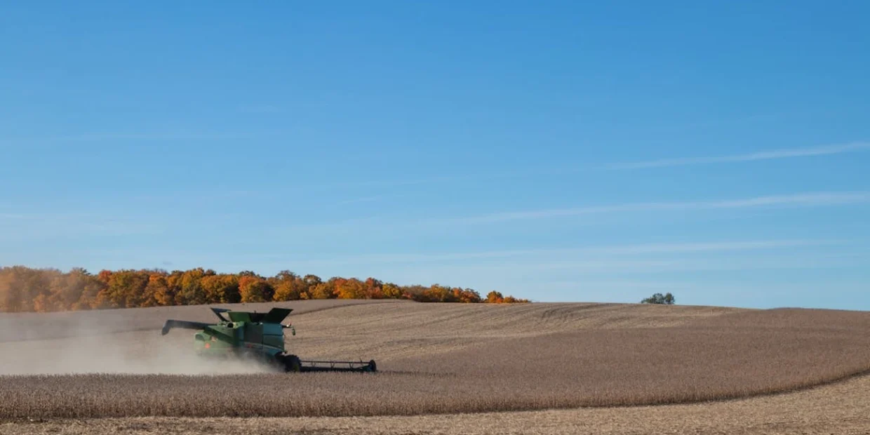 Brasil vai colher recorde de 178 mi de toneladas de soja em 2025/26