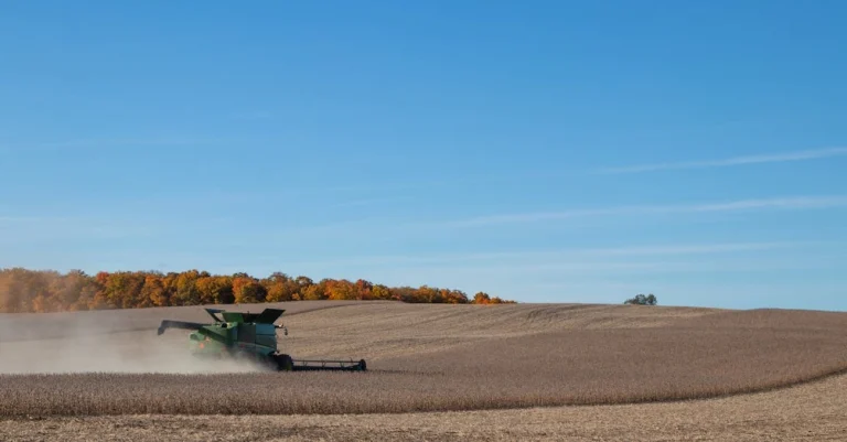 Brasil vai colher recorde de 178 mi de toneladas de soja em 2025/26