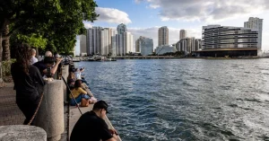 Link busca aluno americano em Miami, hub de empresas brasileiras nos EUA hoje
