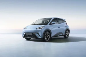 Mulher de 73 anos revoluca seu quotidiano com o primeiro carro elétrico de Conservatória