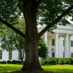 Trump reacende narrativa de fraude no eleitorado de hoje
