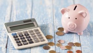 Trilha na natureza exuberante com árvores e caminhos de terra, ideal para ecoturismo.